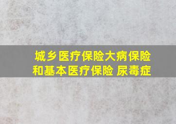 城乡医疗保险大病保险和基本医疗保险 尿毒症